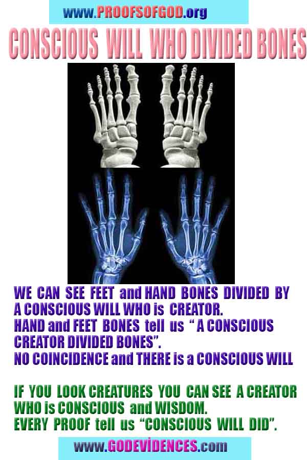 god is real evidences and proofs