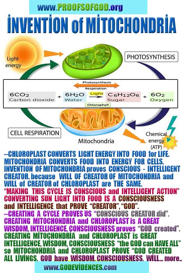 evidences and proofs god exists and real 
