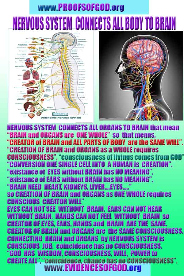 proofs of god, evidences of god, god-proofs, god-signs, god-evidences, god exists, god-real, god is real, preuves de dieu, preuves de dieu, signes de dieu, preuves-dieu, preuves-dieu, dieu est réel, dieu existe 