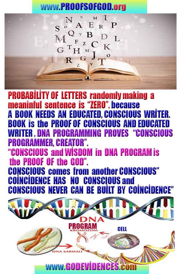 proofs of god, evidences of god, god-proofs, god-signs, god-evidences, god exists, god-real, god is real, provas de deus, evidências de deus, sinais de deus, provas de deus, evidências de deus, deus é real, deus existe 