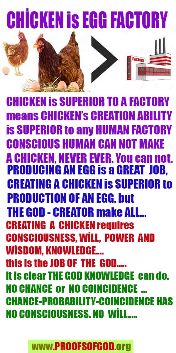 proofs of god, evidences of god, god-proofs, god-signs, god-evidences, god exists, god-real, доказательства существования Бога, доказательства существования Бога, знаки Бога, доказательства-бога, доказательства-бога, бог реален, бог существует 