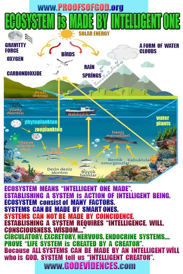 proofs of god, evidences of god, god-proofs, god-signs, god-evidences, god exists, god-real, god is real, 上帝的證明，上帝的證據，上帝的跡象，上帝的證據，上帝的證據，上帝是真實的，上帝存在 