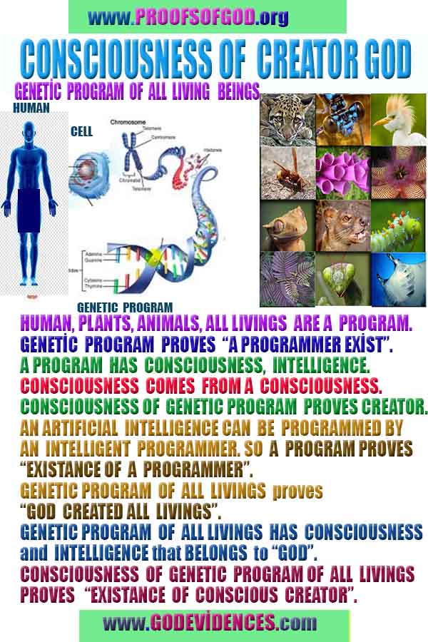 proofs of god, evidences of god, god-proofs, god-signs, god-evidences, god exists, god-real, god is real,god-exists, #god, 신의 증거, 신의 증거, 신의 표징, 증거-신, 증거-신, 신은 실재한다, 신은 존재한다 