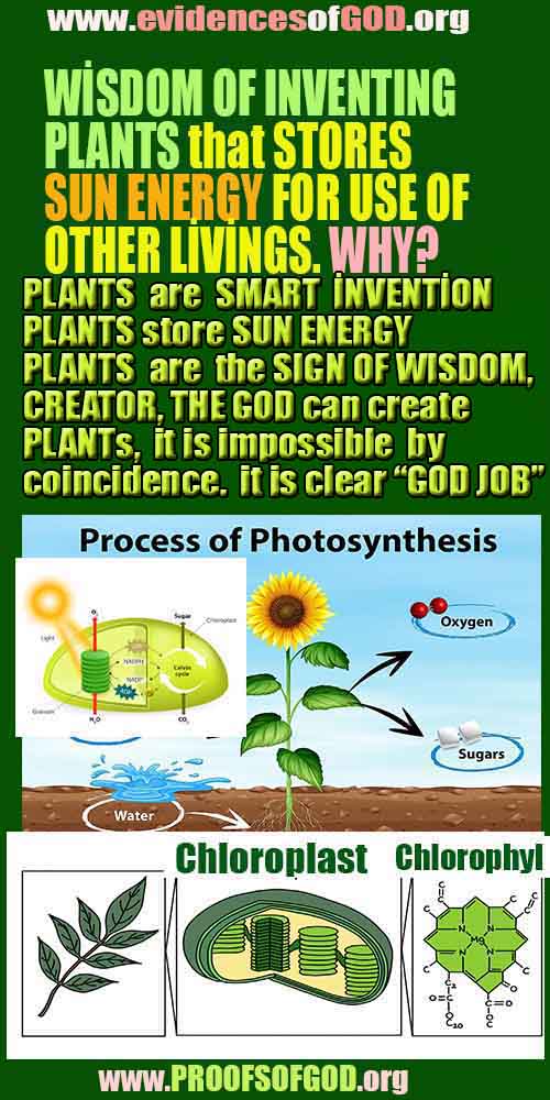 proofs of god, evidences of god, god-proofs, god-signs, god-evidences, god exists, god-real, god is real,ईश्वर के प्रमाण, ईश्वर के प्रमाण, ईश्वर के लक्षण, प्रमाण-ईश्वर, प्रमाण-ईश्वर, ईश्वर वास्तविक है, ईश्वर का अस्तित्व है, @भगवान, #भगवान 