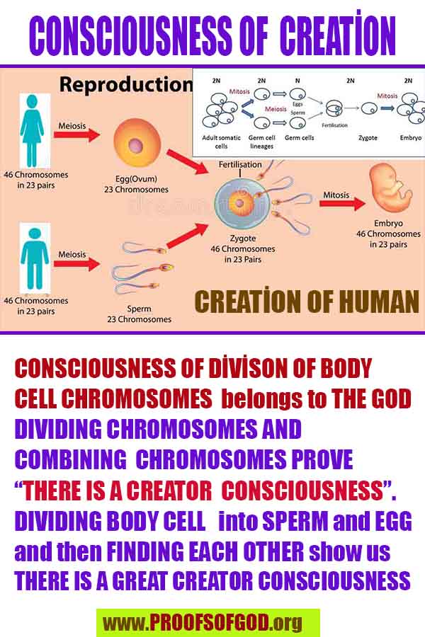 proofs of god, evidences of god, god-proofs, god-signs, god-evidences, god exists, god-real, god is real, pruebas de dios, evidencias de dios, signos de dios, pruebas-dios, evidencias-dios, dios es real, dios existe 