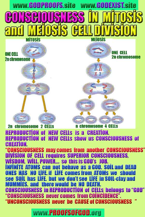 proofs of god, evidences of god, god-proofs, god-signs, god-evidences, god exists, god-real, god is real, 上帝的證明，上帝的證據，上帝的跡象，上帝的證據，上帝的證據，上帝是真實的，上帝存在 