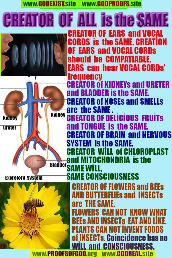 proofs of god, evidences of god, god-proofs, god-signs, god-evidences, god exists, god-real, god is real,god-exists, #god, 신의 증거, 신의 증거, 신의 표징, 증거-신, 증거-신, 신은 실재한다, 신은 존재한다 