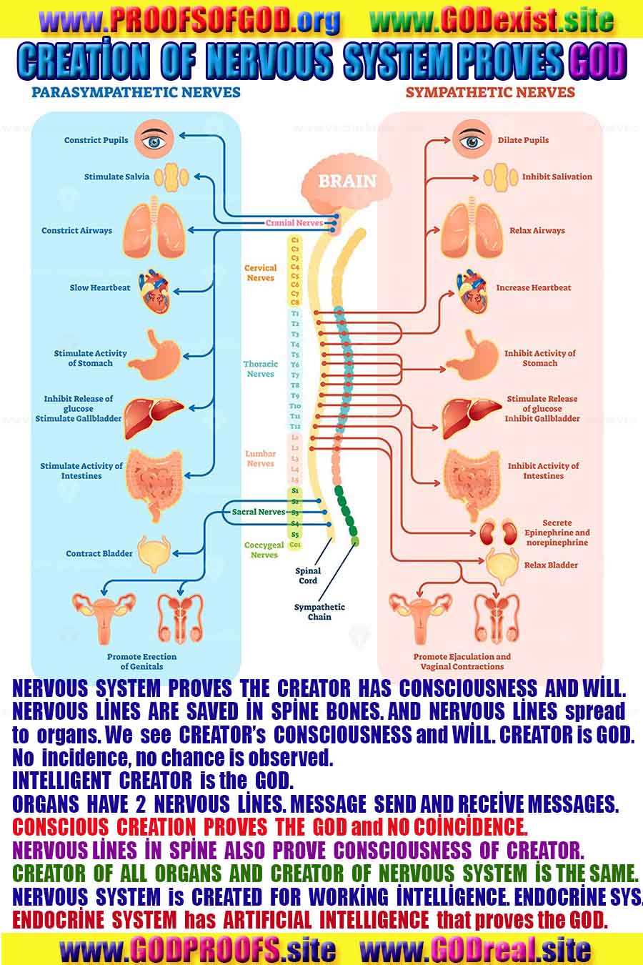 proofs of god, evidences of god, god-proofs, god-signs, god-evidences, god exists, god-real, god is real, preuves de dieu, preuves de dieu, signes de dieu, preuves-dieu, preuves-dieu, dieu est réel, dieu existe 