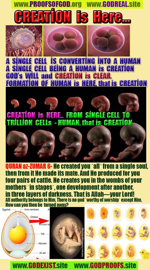 proofs of god, evidences of god, god-proofs, god-signs, god-evidences, god exists, god-real, god is real,براهين الله، أدلة الله، علامات الله، براهين الله، أدلة الله، الله حقيقي، الله موجود 