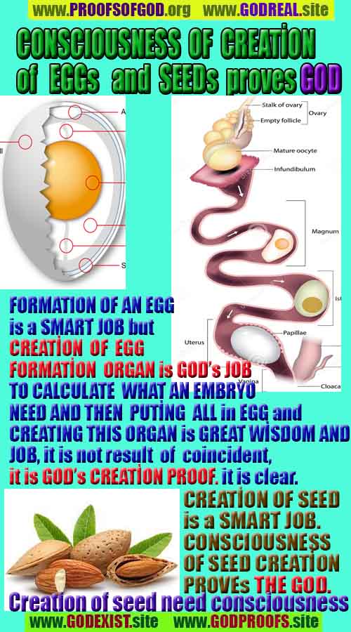 proofs of god, evidences of god, god-proofs, god-signs, god-evidences, god exists, god-real, god is real, 神の証明、神の証拠、神の兆候、神の証明、神の証拠、神は実在する、神は存在する 