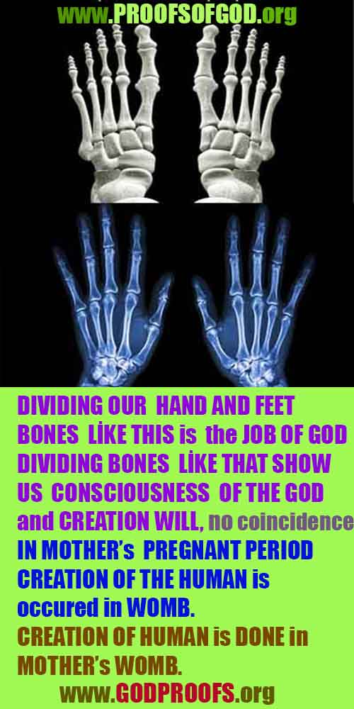 proofs of god, evidences of god, god-proofs, god-signs, god-evidences, god exists, god-real, god is real, preuves de dieu, preuves de dieu, signes de dieu, preuves-dieu, preuves-dieu, dieu est réel, dieu existe 