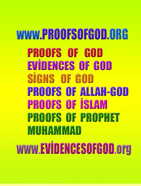 proofs of god, evidences of god, god-proofs, god-signs, god-evidences, god exists, god-real, god is real,براهين الله، أدلة الله، علامات الله، براهين الله، أدلة الله، الله حقيقي، الله موجود 