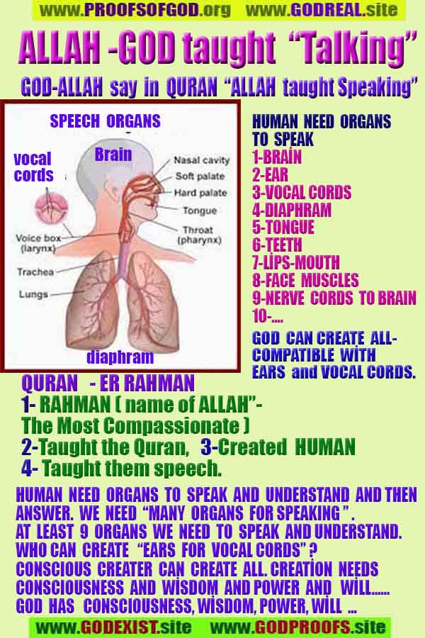 proofs of god, evidences of god, god-proofs, god-signs, god-evidences, god exists，上帝的跡象，上帝的證據，上帝的證據，上帝是真實的，上帝存在 